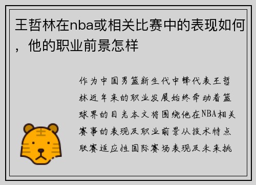 王哲林在nba或相关比赛中的表现如何，他的职业前景怎样